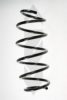 SPIDAN 55287 Coil Spring